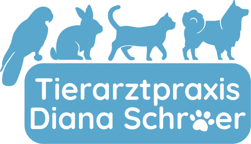Tierarztpraxis Diana Schröer